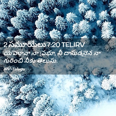 Picture 02 - 2 సమూయేలు 7:20 TELIRV - యెహోవా నా ప్రభూ, నీ - Bible Verse Picture