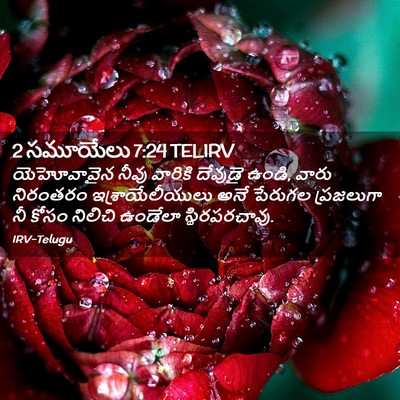 Picture 02 - 2 సమూయేలు 7:24 TELIRV - యెహోవావైన నీవు - Bible Verse Picture