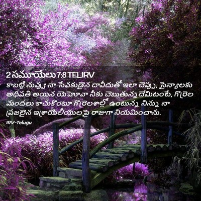 Picture 02 - 2 సమూయేలు 7:8 TELIRV - కాబట్టి నువ్వు నా - Bible Verse Picture