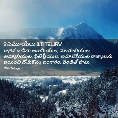 Picture 02 - 2 సమూయేలు 8:11 TELIRV - రాజైన దావీదు - Bible Verse Picture