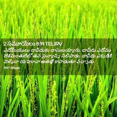 Picture 02 - 2 సమూయేలు 8:14 TELIRV - ఎదోమీయులు - Bible Verse Picture