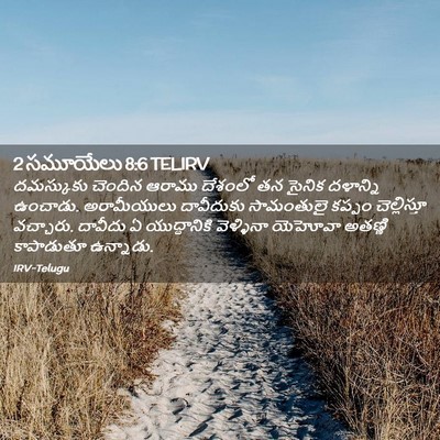 Picture 02 - 2 సమూయేలు 8:6 TELIRV - దమస్కుకు చెందిన - Bible Verse Picture