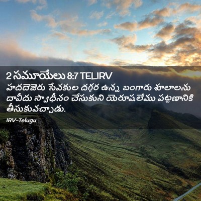 Picture 02 - 2 సమూయేలు 8:7 TELIRV - హదదెజెరు సేవకుల - Bible Verse Picture