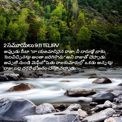 Picture 02 - 2 సమూయేలు 9:11 TELIRV - అప్పుడు సీబా “నా - Bible Verse Picture