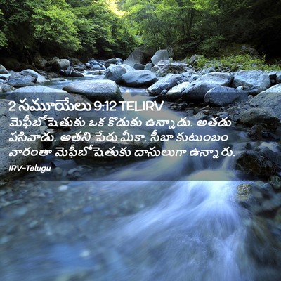 Picture 02 - 2 సమూయేలు 9:12 TELIRV - మెఫీబోషెతుకు ఒక - Bible Verse Picture