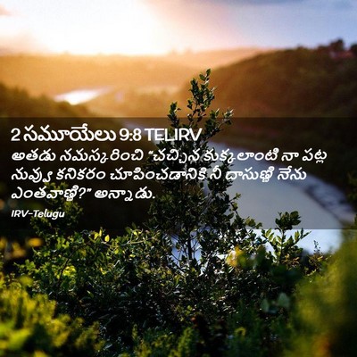 Picture 02 - 2 సమూయేలు 9:8 TELIRV - అతడు నమస్కరించి - Bible Verse Picture