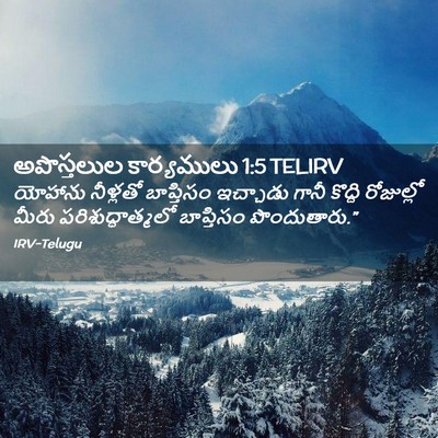 Picture 02 - అపొస్తలుల కార్యములు 1:5 TELIRV - యోహాను నీళ్లతో - Bible Verse Picture