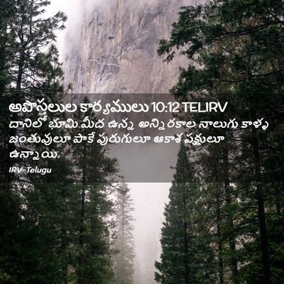 Picture 02 - అపొస్తలుల కార్యములు 10:12 TELIRV - దానిలో భూమి మీద - Bible Verse Picture