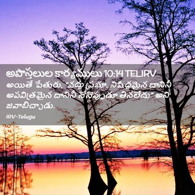 Picture 02 - అపొస్తలుల కార్యములు 10:14 TELIRV - అయితే పేతురు, - Bible Verse Picture
