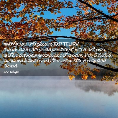 Picture 02 - అపొస్తలుల కార్యములు 10:17 TELIRV - పేతురు తనకు - Bible Verse Picture