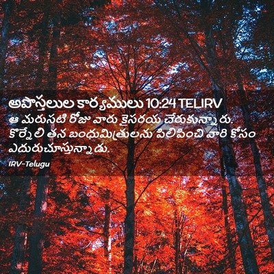 Picture 02 - అపొస్తలుల కార్యములు 10:24 TELIRV - ఆ మరుసటి రోజు వారు - Bible Verse Picture