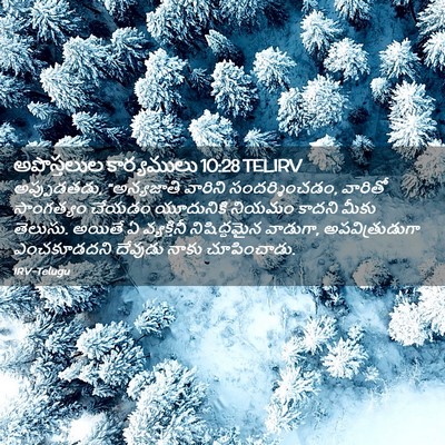 Picture 02 - అపొస్తలుల కార్యములు 10:28 TELIRV - అప్పుడతడు, - Bible Verse Picture