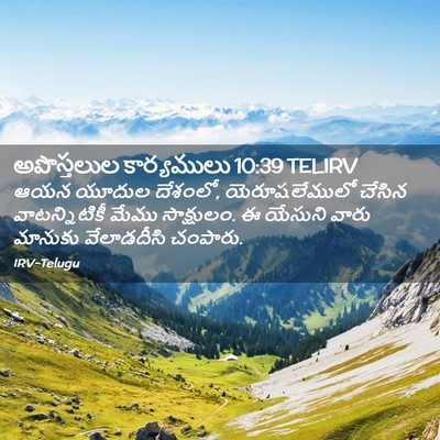 Picture 02 - అపొస్తలుల కార్యములు 10:39 TELIRV - ఆయన యూదుల దేశంలో, - Bible Verse Picture