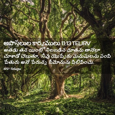 Picture 02 - అపొస్తలుల కార్యములు 11:13 TELIRV - అతడు తన యింట్లో - Bible Verse Picture