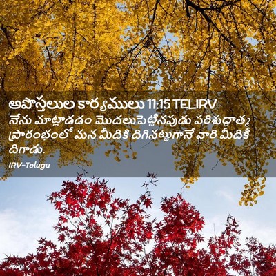 Picture 02 - అపొస్తలుల కార్యములు 11:15 TELIRV - నేను మాట్లాడడం - Bible Verse Picture