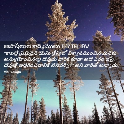 Picture 02 - అపొస్తలుల కార్యములు 11:17 TELIRV - “కాబట్టి ప్రభువైన - Bible Verse Picture
