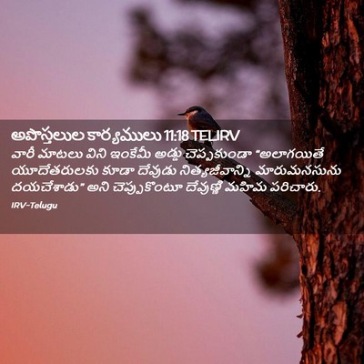 Picture 02 - అపొస్తలుల కార్యములు 11:18 TELIRV - వారీ మాటలు విని - Bible Verse Picture