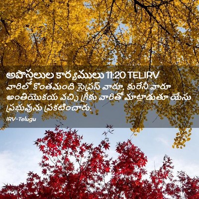 Picture 02 - అపొస్తలుల కార్యములు 11:20 TELIRV - వారిలో కొంతమంది - Bible Verse Picture