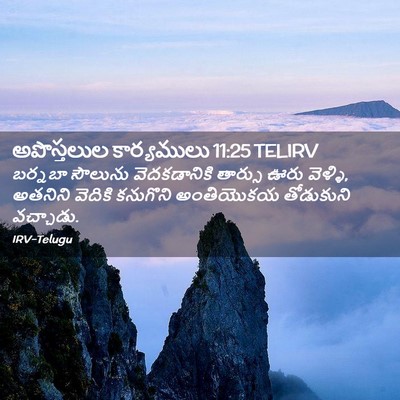 Picture 02 - అపొస్తలుల కార్యములు 11:25 TELIRV - బర్నబా సౌలును - Bible Verse Picture
