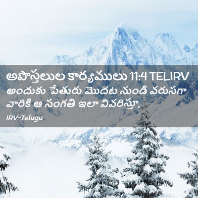Picture 02 - అపొస్తలుల కార్యములు 11:4 TELIRV - అందుకు పేతురు - Bible Verse Picture