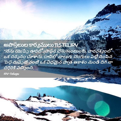 Picture 02 - అపొస్తలుల కార్యములు 11:5 TELIRV - “నేను యొప్పే - Bible Verse Picture