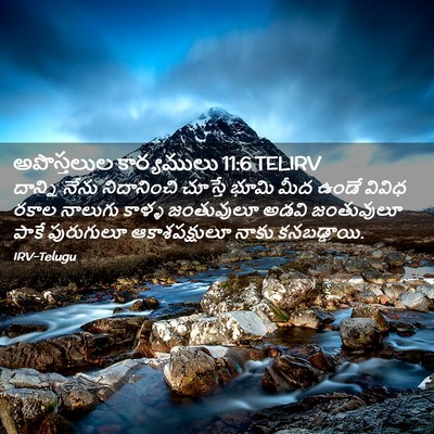 Picture 02 - అపొస్తలుల కార్యములు 11:6 TELIRV - దాన్ని నేను - Bible Verse Picture