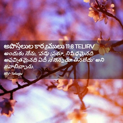 Picture 02 - అపొస్తలుల కార్యములు 11:8 TELIRV - అందుకు నేను, - Bible Verse Picture