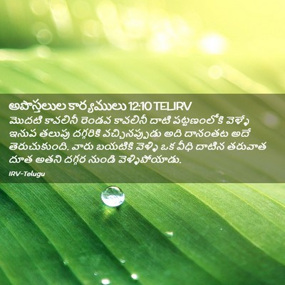 Picture 02 - అపొస్తలుల కార్యములు 12:10 TELIRV - మొదటి కావలినీ - Bible Verse Picture