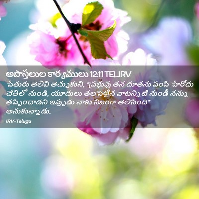 Picture 02 - అపొస్తలుల కార్యములు 12:11 TELIRV - పేతురు తెలివి - Bible Verse Picture