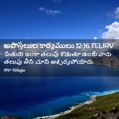 Picture 02 - అపొస్తలుల కార్యములు 12:16 TELIRV - పేతురు ఇంకా తలుపు - Bible Verse Picture