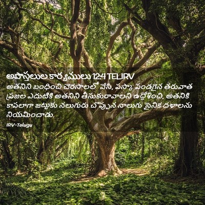 Picture 02 - అపొస్తలుల కార్యములు 12:4 TELIRV - అతనిని బంధించి - Bible Verse Picture