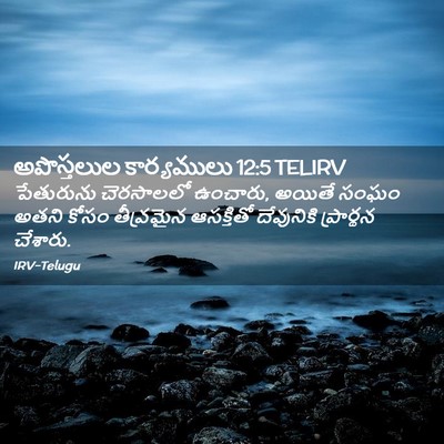 Picture 02 - అపొస్తలుల కార్యములు 12:5 TELIRV - పేతురును చెరసాలలో - Bible Verse Picture