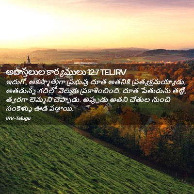 Picture 02 - అపొస్తలుల కార్యములు 12:7 TELIRV - ఇదుగో, - Bible Verse Picture