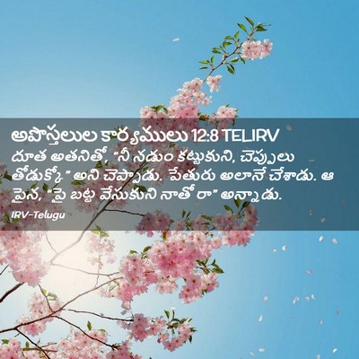 Picture 02 - అపొస్తలుల కార్యములు 12:8 TELIRV - దూత అతనితో, “నీ - Bible Verse Picture