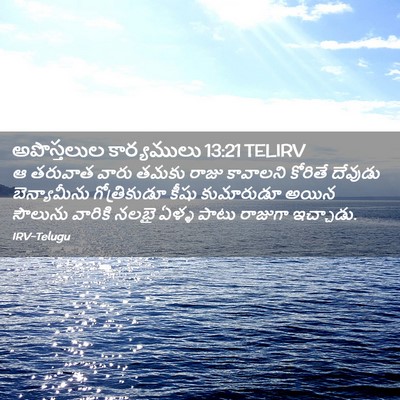 Picture 02 - అపొస్తలుల కార్యములు 13:21 TELIRV - ఆ తరువాత వారు తమకు - Bible Verse Picture