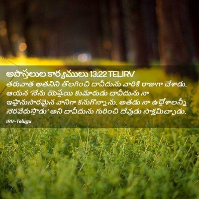 Picture 02 - అపొస్తలుల కార్యములు 13:22 TELIRV - తరువాత అతనిని - Bible Verse Picture