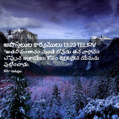 Picture 02 - అపొస్తలుల కార్యములు 13:23 TELIRV - “అతని సంతానం - Bible Verse Picture