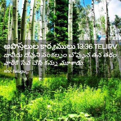 Picture 02 - అపొస్తలుల కార్యములు 13:36 TELIRV - దావీదు దేవుని - Bible Verse Picture