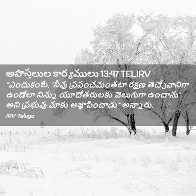 Picture 02 - అపొస్తలుల కార్యములు 13:47 TELIRV - “ఎందుకంటే, ‘నీవు - Bible Verse Picture