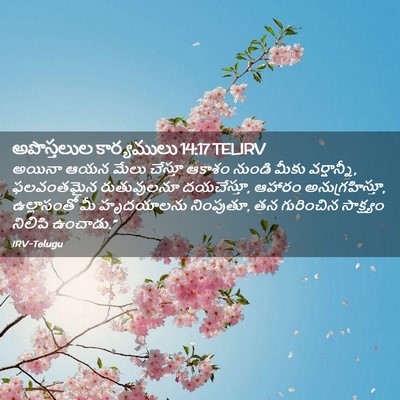 Picture 02 - అపొస్తలుల కార్యములు 14:17 TELIRV - అయినా ఆయన మేలు - Bible Verse Picture