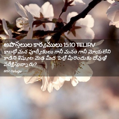 Picture 02 - అపొస్తలుల కార్యములు 15:10 TELIRV - కాబట్టి మన - Bible Verse Picture