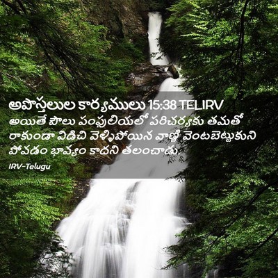 Picture 02 - అపొస్తలుల కార్యములు 15:38 TELIRV - అయితే పౌలు - Bible Verse Picture
