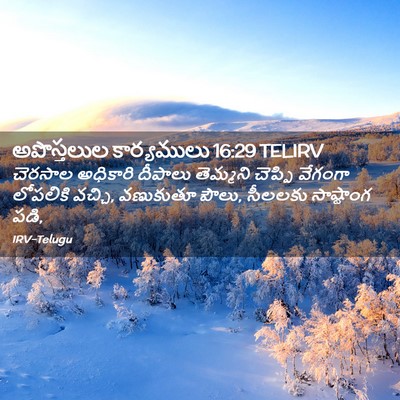 Picture 02 - అపొస్తలుల కార్యములు 16:29 TELIRV - చెరసాల అధికారి - Bible Verse Picture