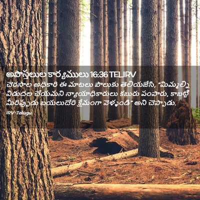 Picture 02 - అపొస్తలుల కార్యములు 16:36 TELIRV - చెరసాల అధికారి ఈ - Bible Verse Picture