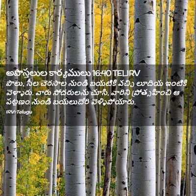 Picture 02 - అపొస్తలుల కార్యములు 16:40 TELIRV - పౌలు, సీల చెరసాల - Bible Verse Picture