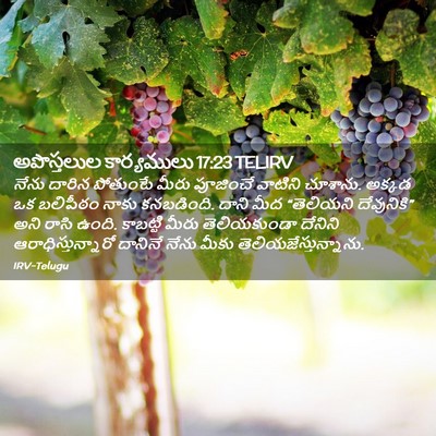 Picture 02 - అపొస్తలుల కార్యములు 17:23 TELIRV - నేను దారిన - Bible Verse Picture