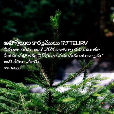 Picture 02 - అపొస్తలుల కార్యములు 17:7 TELIRV - వీరంతా యేసు అనే - Bible Verse Picture