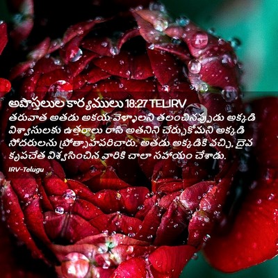 Picture 02 - అపొస్తలుల కార్యములు 18:27 TELIRV - తరువాత అతడు అకయ - Bible Verse Picture