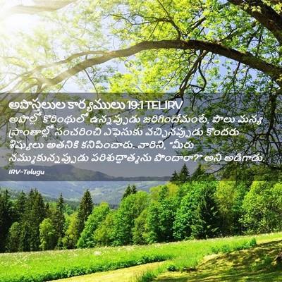 Picture 02 - అపొస్తలుల కార్యములు 19:1 TELIRV - అపొల్లో కొరింథులో - Bible Verse Picture