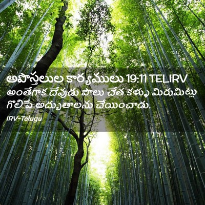 Picture 02 - అపొస్తలుల కార్యములు 19:11 TELIRV - అంతేగాక దేవుడు - Bible Verse Picture